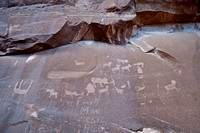285 Petroglyphs at dinosaur track site
